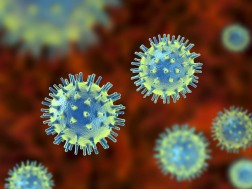 "ჩანდრიპურას" ვირუსი