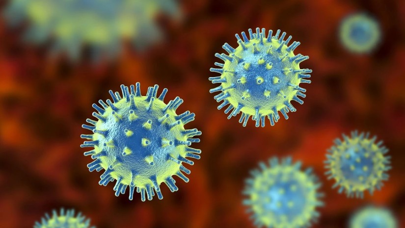 "ჩანდრიპურას" ვირუსი