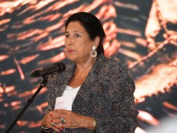 According to Salome Zurabishvili, the unification of the radical opposition is the merit of external forces