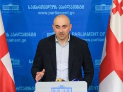 We were the only party whose list of supporters was compiled by Aleksandre Rakviashvili