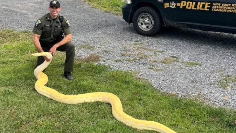 კაცს სახლში 4 მეტრიანი გველი უკანონოდ ჰყავდა
