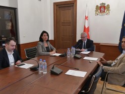 The Procedural Issues and Rules Committee discussed the premature termination of Levan Mgaloblishvili's mandate as a member of the Parliament.