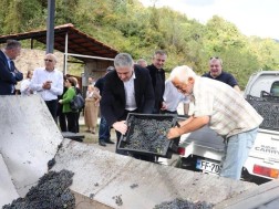 „სახელმწიფოს მხრიდან  სუბსიდირების პროგრამის განხორციელება  ადგილობრივებისთვის ძალიან მნიშვნელოვანი მხარდაჭერაა“, - „მეღვინეობა ბარაკონის“ დამფუძნებელი 