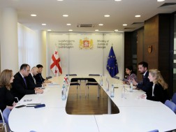 Rati Bregadze held a working meeting with the OSCE/ODIHR Monitoring Mission