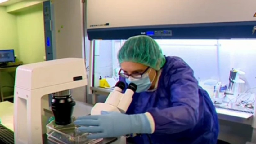 მეზენქიმური ღეროვანი უჯრედების ლაბორატორია