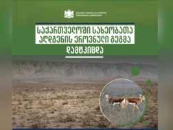 The national species recovery plan was approved in Georgia