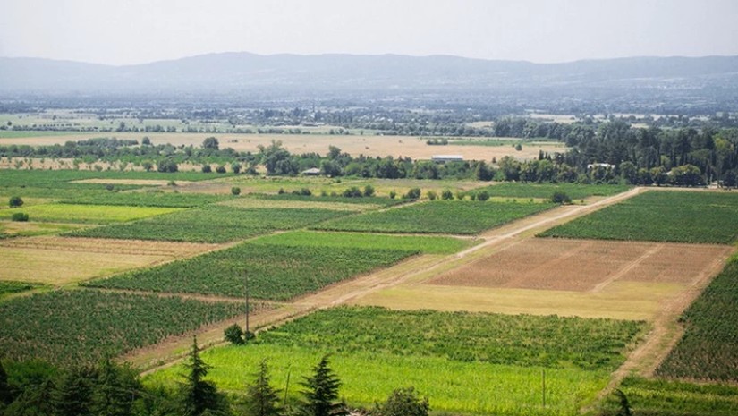 სისტემური რეგისტრაციის პროექტით კიდევ 4 021 მიწის ნაკვეთი დარეგისტრირდება