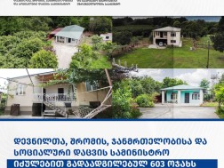 The Ministry of IDPs, Labor, Health and Social Protection will buy houses in rural areas for 603 internally displaced families