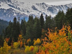 ამინდი 