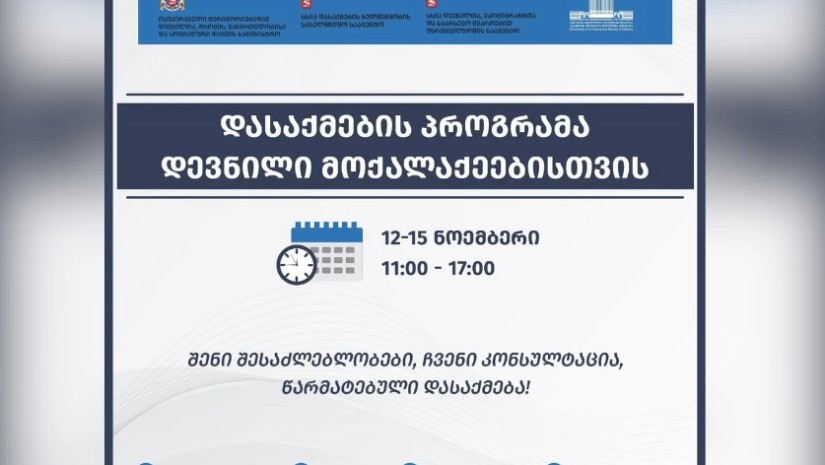 დასაქმების პროგრამა