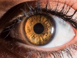 Unprecedented science experiment - 3 patients regained their sight