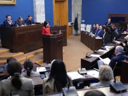 The Georgian diaspora will be an important priority for the state and cooperation with compatriots living abroad will be actively continued - Maka Bochorishvili