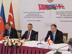 The annual meeting of the foreign relations committees of the parliaments of Georgia, Turkey and Azerbaijan was held in Ankara.