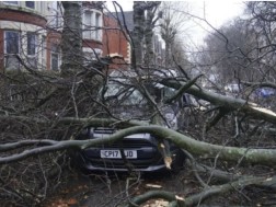 Storm in Britain and Ireland - two people killed as a result of falling trees