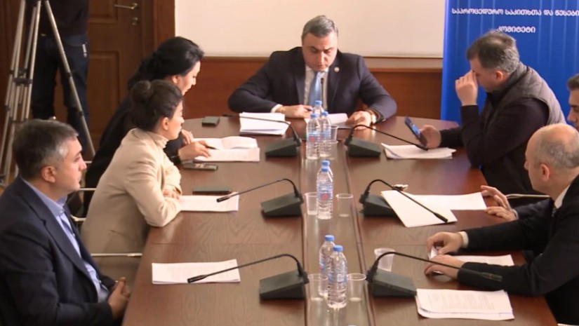 საპროცედურო საკითხთა და წესების საპარლამენტო კომიტეტმა მხარი დაუჭირა ბიძინა ივანიშვილისთვის, ირაკლი ღარიბაშვილისთვის და მიხეილ ყაველაშვილისთვის საპარლამენტო უფლებამოსილების ვადამდე შეწყვეტის საკითხს