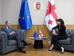 During the meeting between Maka Bochorishvili and Pavel Herchinskiy, the Georgian side expressed concern that political speculations related to the elections continue and the messages voiced by the resolution of the European Parliament contribute to the creation of an artificial crisis in the country - Foreign Ministry