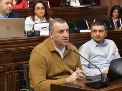 The Legal Affairs Committee discussed the changes related to the import, export, production and sale of pyrotechnic products in Georgia.