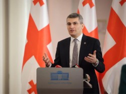 Mamuka Mdinaradze on the video address of the French President: Macron recognized the government of Georgia