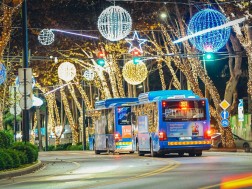 How Tbilisi looks decorated for the New Year - photos