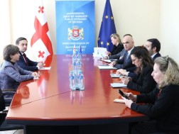 Levan Ioseliani met with the Secretary General of the Council of Europe, Alain Berse