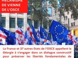 France and 37 OSCE states call on Georgia to engage in a constructive dialogue to preserve the fundamental freedoms of assembly and expression - Embassy of France