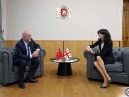 Maka Bochorishvili met with the Turkish ambassador