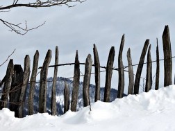 კალანდა გურიაში