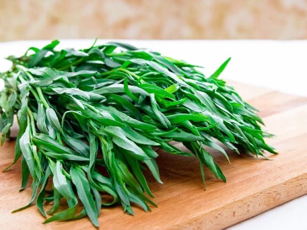 tarragon