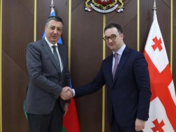 დავით სონღულაშვილი აზერბაიჯანის ელჩს შეხვდა