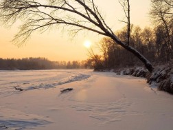 ზამთარი