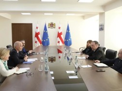 გიორგი ცაგარეიშვილი მიგრაციის საერთაშორისო ორგანიზაციის (IOM) ხელმძღვანელს შეხვდა