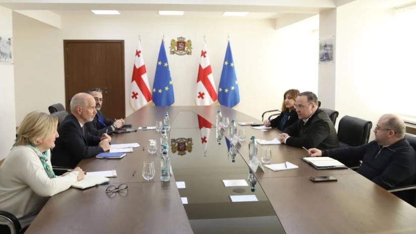 გიორგი ცაგარეიშვილი  მიგრაციის საერთაშორისო ორგანიზაციის (IOM)  ხელმძღვანელს შეხვდა