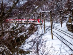 Georgian Railway publishes a list of flights that can be performed today, March 3