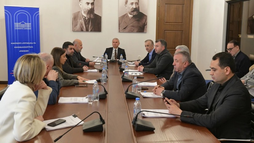 რეგიონული პოლიტიკისა და თვითმმართველობის კომიტეტის სხდომაზე სარატიფიკაციო დოკუმენტი განიხილეს