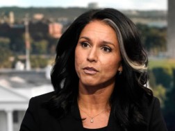 ტულსი გაბარდი