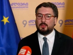 It is unfortunate to any damage to the citizen of Georgia in the performance of his / her official duties, or in the exercise of the right to assembly - Tamaz Datunashvili