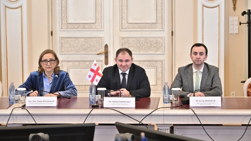 საგარეო ურთიერთობათა კომიტეტის დელეგაციამ რუმინეთის სენატში შეხვედრები გამართა