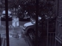 თაღლითური სქემა