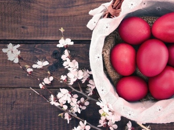 კვერცხი