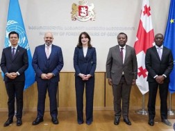 Maka Bochorishvili met with permanent representatives of accredited UN visit to Georgia