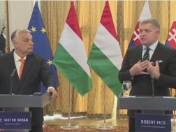 Western Serbia and Georgia, against the legitimate authorities, organizes Maidan - Robert Fizzo