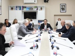 Advisory Councils were set up in the Committee of Culture