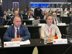 The Permanent Delegation of the Parliament of Georgia participated in the NATO Parliamentary Assembly in the seminar organized by the Assembly