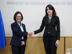 მაკა ბოჭორიშვილი ევროპასა და ცენტრალურ აზიაში გაერო-ს განვითარების საკოორდინაციო ოფისის რეგიონულ დირექტორს შეხვდა