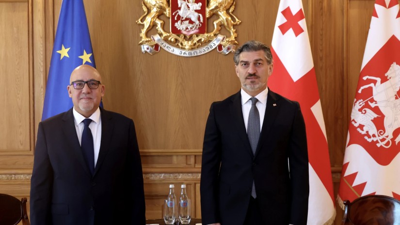 მიხეილ ყაველაშვილი საქართველოში თურქეთის ელჩს შეხვდა