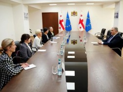 Mikheil Sarjveladze met with the executive director of The Max Foundation