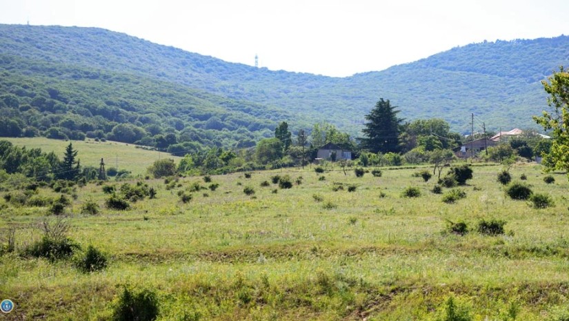 გურჯაანი