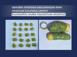 ნარკოტიკები