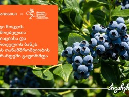 ლურჯი მოცვის მწარმოებელთა ასოციაციასა და საქართველოს ბანკს შორის თანამშრომლობის მემორანდუმი გაფორმდა