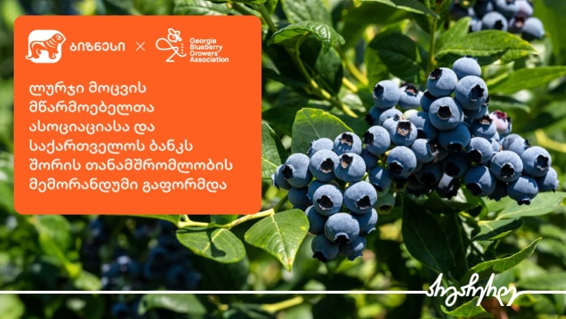 საქართველოს ბანკი